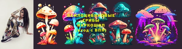 эйфоретик Дмитриев