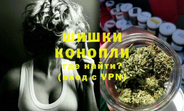 эйфоретик Дмитриев