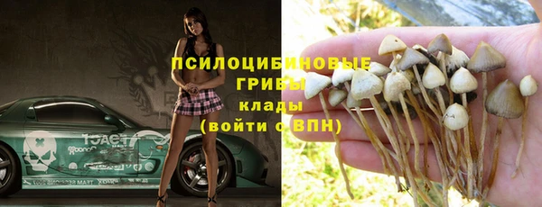эйфоретик Дмитриев